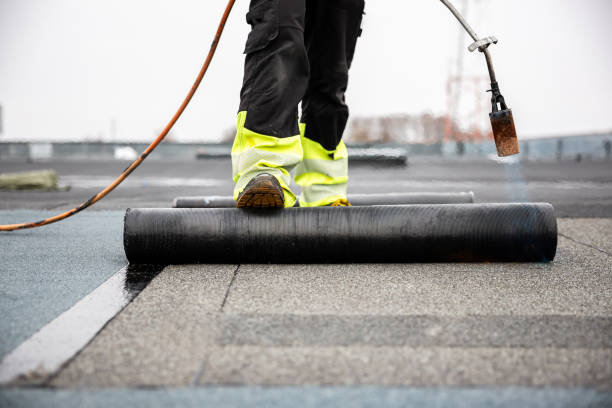 Best Roof Moss and Algae Removal  in Interlachen, FL